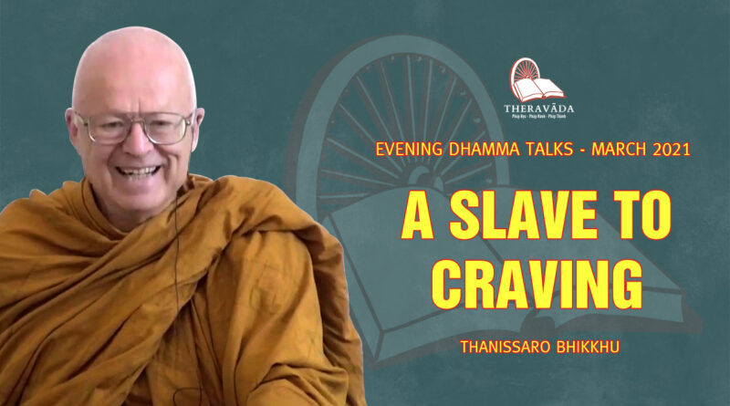 evening dhamma talk march 2021 thanissaro bhikkhu 11