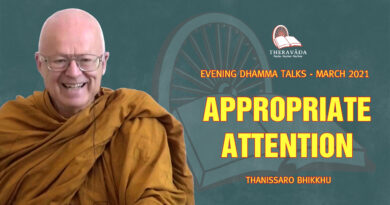 evening dhamma talk march 2021 thanissaro bhikkhu 20