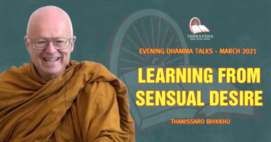 evening dhamma talk march 2021 thanissaro bhikkhu 4