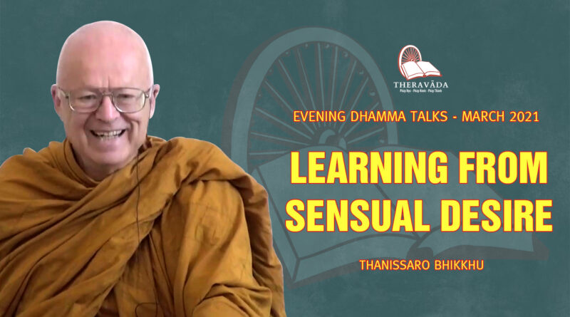 evening dhamma talk march 2021 thanissaro bhikkhu 4