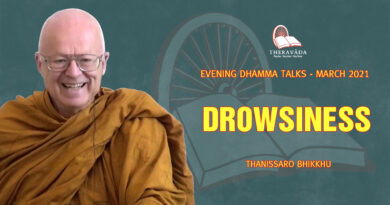 evening dhamma talk march 2021 thanissaro bhikkhu 6