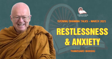 evening dhamma talk march 2021 thanissaro bhikkhu 7