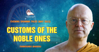 evening dhamma talk may 2021 thanissaro bhikkhu 1