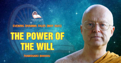 evening dhamma talk may 2021 thanissaro bhikkhu 10