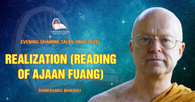 evening dhamma talk may 2021 thanissaro bhikkhu 11