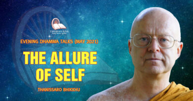 evening dhamma talk may 2021 thanissaro bhikkhu 12
