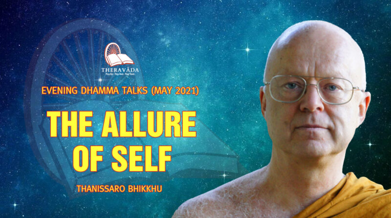 evening dhamma talk may 2021 thanissaro bhikkhu 12