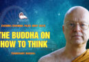 evening dhamma talk may 2021 thanissaro bhikkhu 13