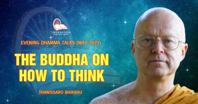 evening dhamma talk may 2021 thanissaro bhikkhu 13