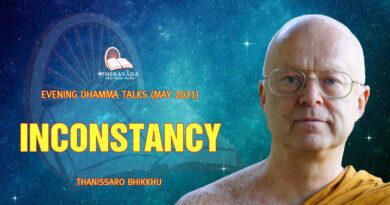 evening dhamma talk may 2021 thanissaro bhikkhu 17