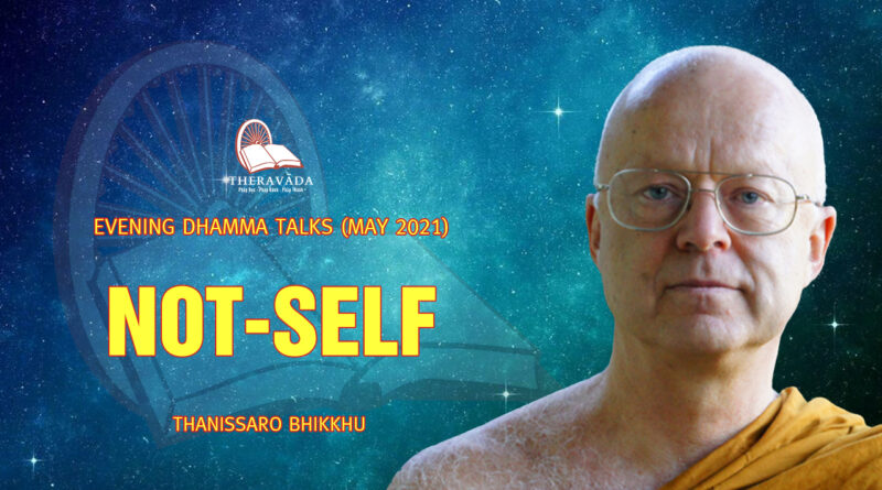 evening dhamma talk may 2021 thanissaro bhikkhu 19