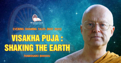evening dhamma talk may 2021 thanissaro bhikkhu 20