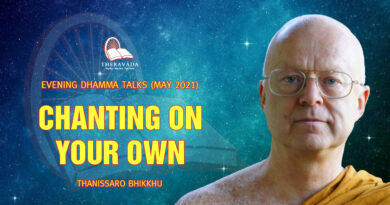 evening dhamma talk may 2021 thanissaro bhikkhu 24