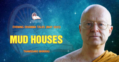 evening dhamma talk may 2021 thanissaro bhikkhu 4