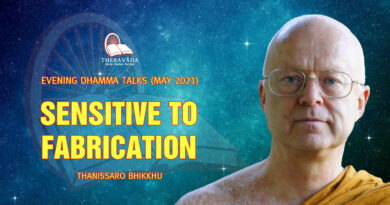 evening dhamma talk may 2021 thanissaro bhikkhu 6