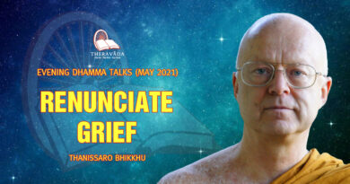 evening dhamma talk may 2021 thanissaro bhikkhu 8