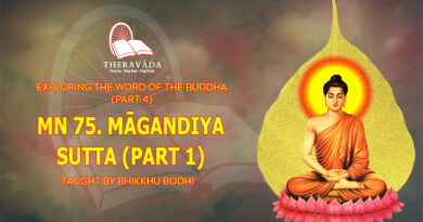 exploring the word of the buddha part 4 bhikkhu bodhi 3