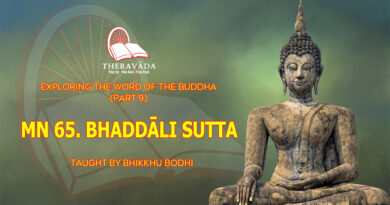 exploring the word of the buddha part 9 bhikkhu bodhi 3