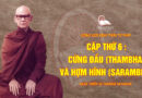 giang giai kinh thua tu phap ngai thien su mahasi sayadaw 12