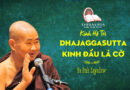 kinh ho tri ngai pa auk sayadaw 8