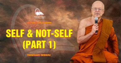 lectures on dhamma thanissaro bhikkhu 113