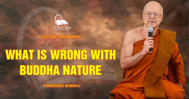 lectures on dhamma thanissaro bhikkhu 40