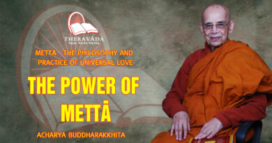 metta the philosophy and practice of universal love acharya buddharakkhita 13