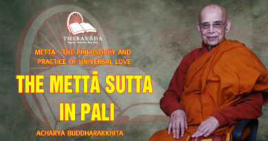 metta the philosophy and practice of universal love acharya buddharakkhita 14