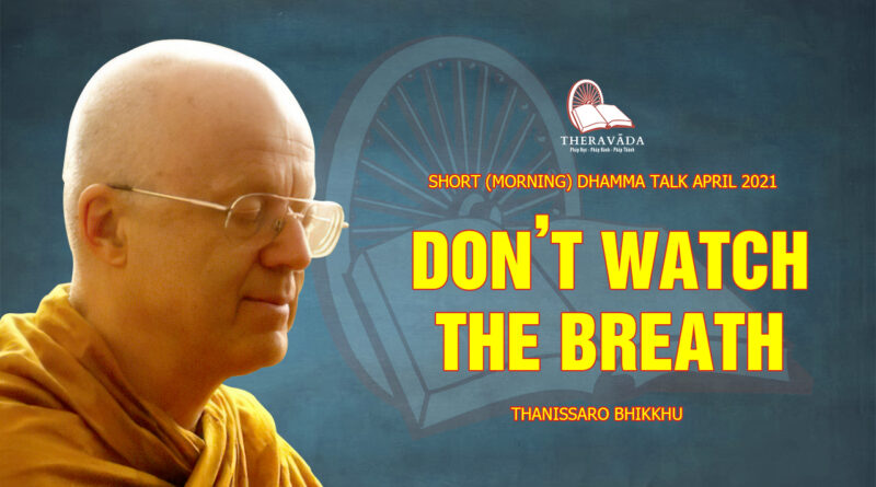 morning short dhamma talk april 2021 thanissaro bhikkhu 16