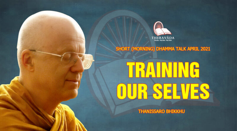 morning short dhamma talk april 2021 thanissaro bhikkhu 8