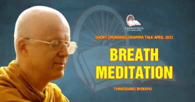 morning short dhamma talk april 2021 thanissaro bhikkhu 9