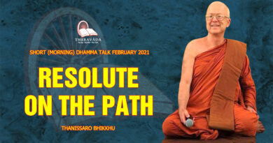 morning short dhamma talk february 2021 thanissaro bhikkhu 16