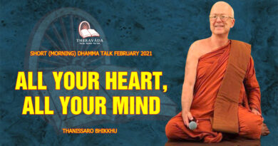 morning short dhamma talk february 2021 thanissaro bhikkhu 8