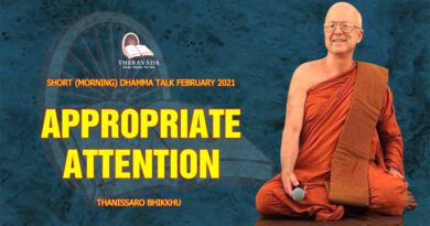 morning short dhamma talk february 2021 thanissaro bhikkhu 9