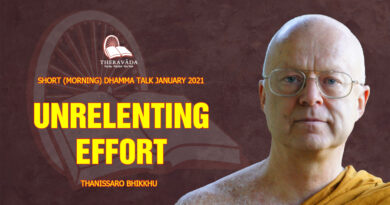 morning short dhamma talk january 2021 thanissaro bhikkhu 14