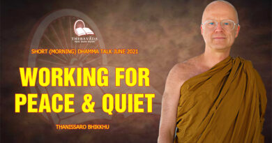 morning short dhamma talk june 2021 thanissaro bhikkhu 4