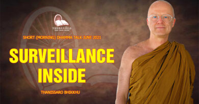 morning short dhamma talk june 2021 thanissaro bhikkhu 6