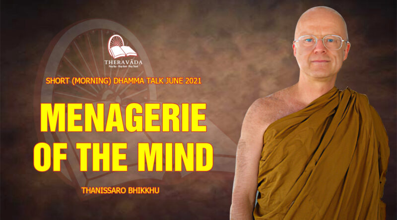 morning short dhamma talk june 2021 thanissaro bhikkhu 7