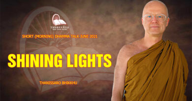 morning short dhamma talk june 2021 thanissaro bhikkhu 8