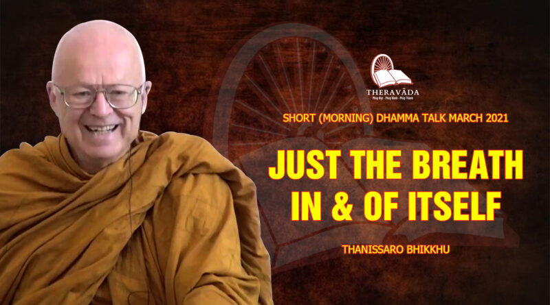 morning short dhamma talk march 2021 thanissaro bhikkhu 11