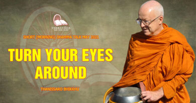 morning short dhamma talk may 2021 thanissaro bhikkhu 10