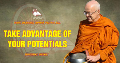morning short dhamma talk may 2021 thanissaro bhikkhu 11