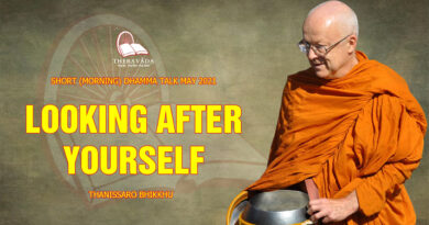 morning short dhamma talk may 2021 thanissaro bhikkhu 13