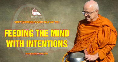 morning short dhamma talk may 2021 thanissaro bhikkhu 18