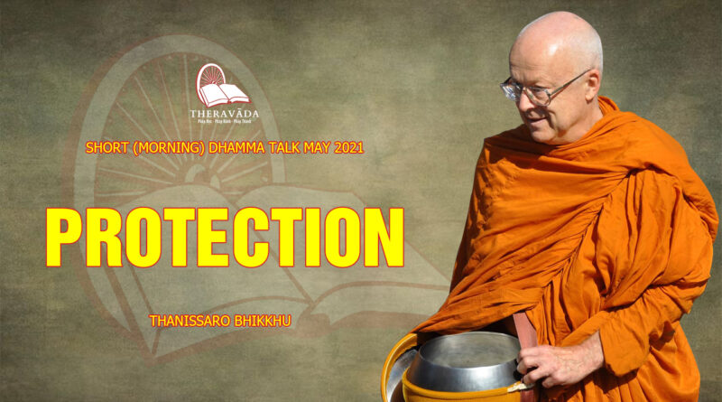 morning short dhamma talk may 2021 thanissaro bhikkhu 21