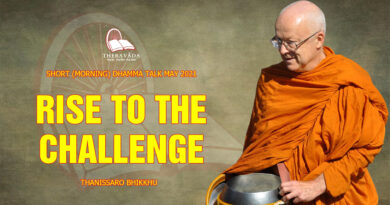 morning short dhamma talk may 2021 thanissaro bhikkhu 26