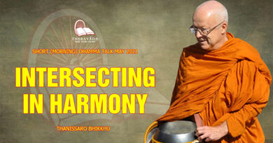 morning short dhamma talk may 2021 thanissaro bhikkhu 28