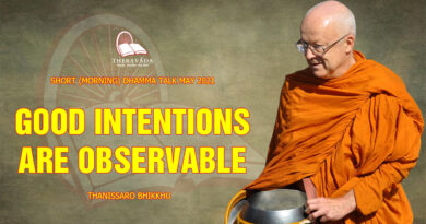 morning short dhamma talk may 2021 thanissaro bhikkhu 29