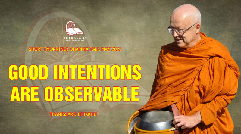 morning short dhamma talk may 2021 thanissaro bhikkhu 29