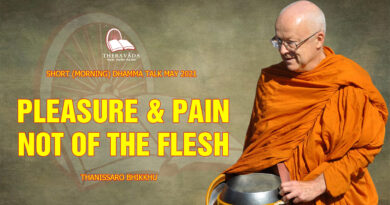 morning short dhamma talk may 2021 thanissaro bhikkhu 3